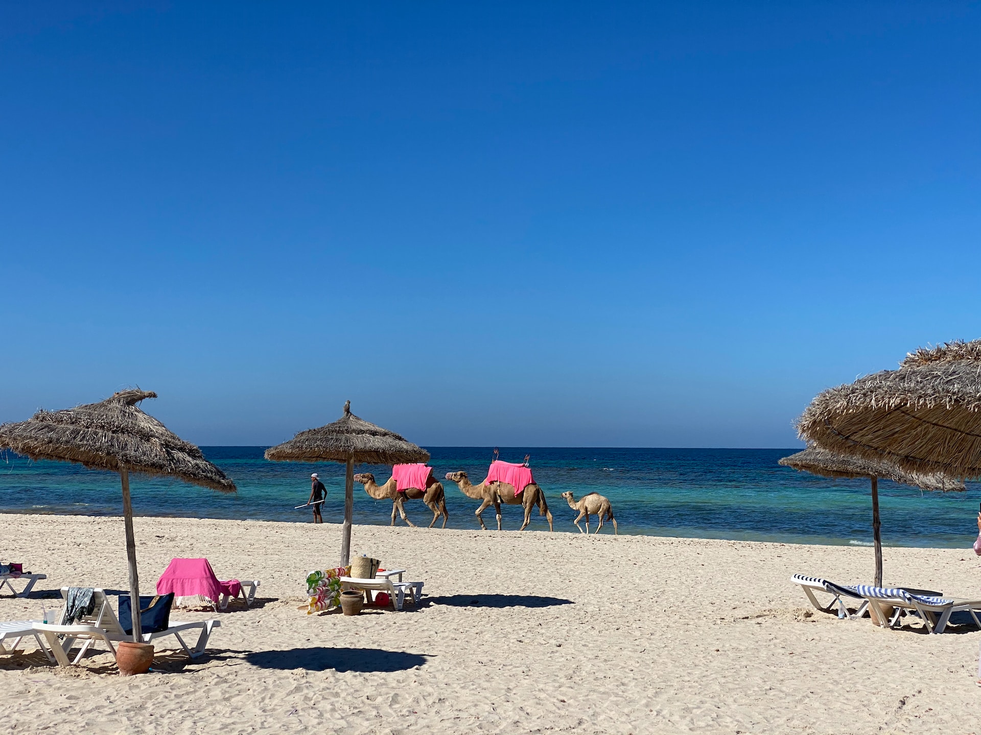 Mastering the Art of Travel Planning: A Comprehensive Guide